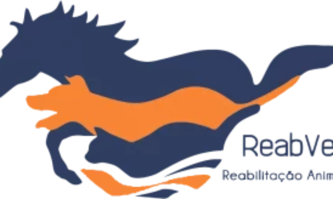 ReabVe